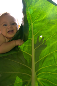is this really just a leaf?